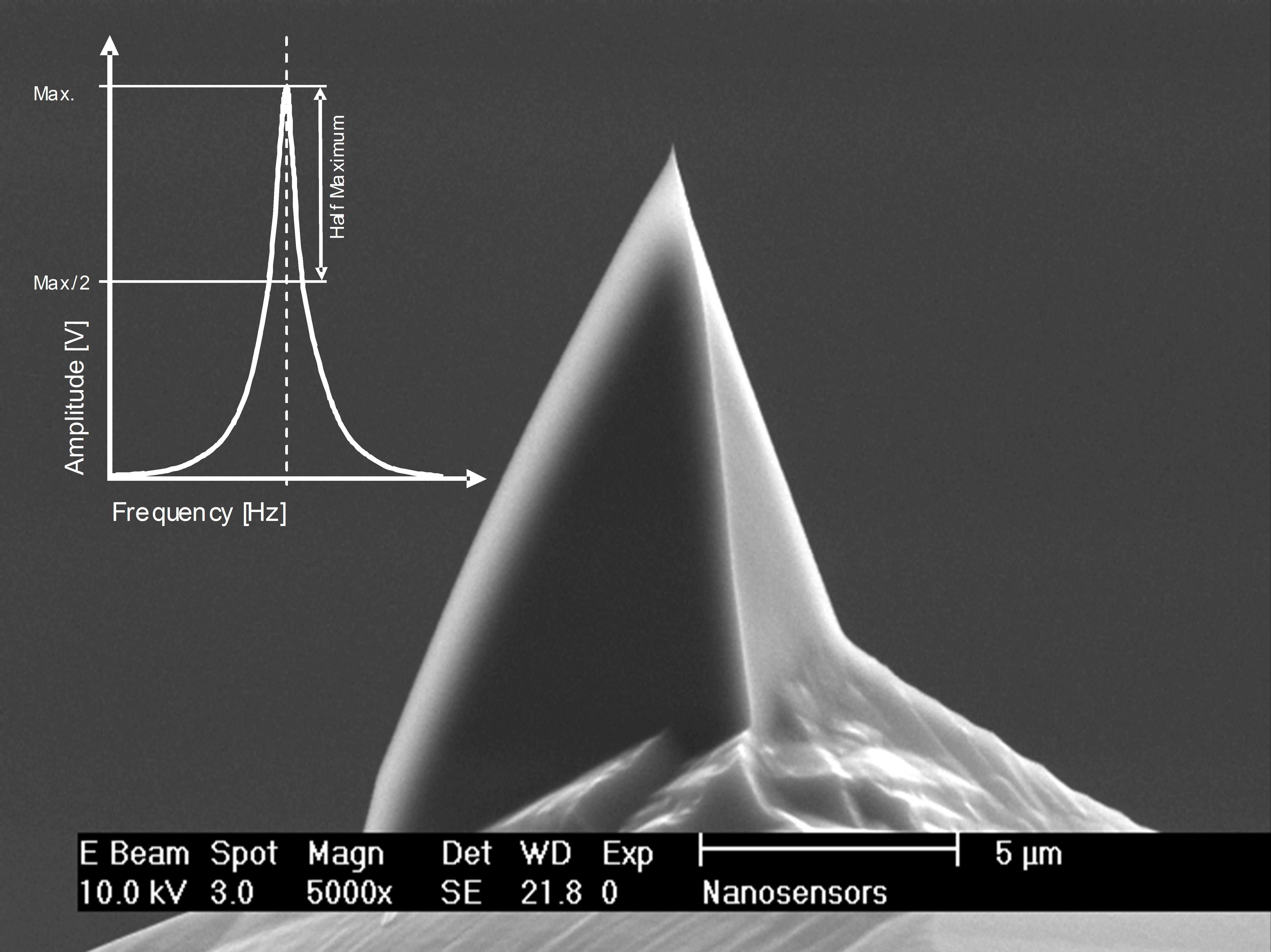 NANOSENSORS™ Special Developments List (SDL) low-Q factor AFM probes high-Q factor AFM probes